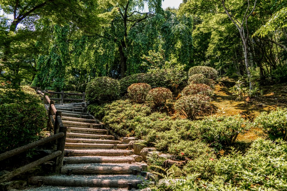 Nature climb path