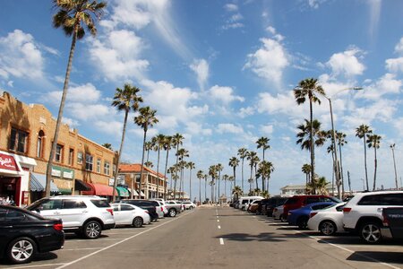 Palm road tourism photo