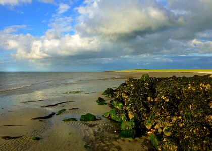 Coast landscape mood