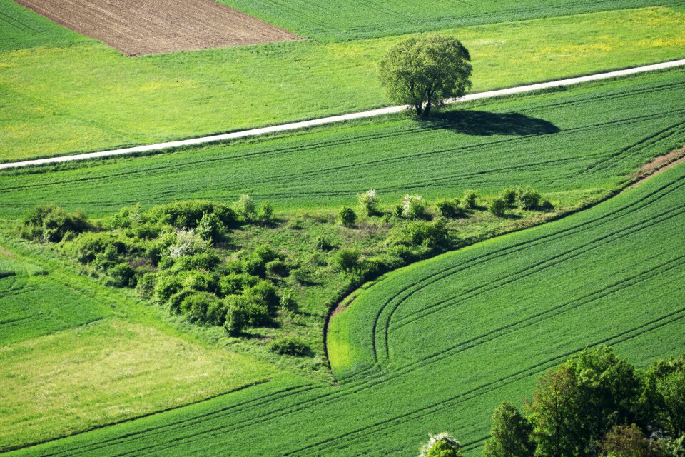 Lines landscape haze