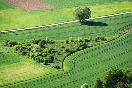 Lines landscape haze