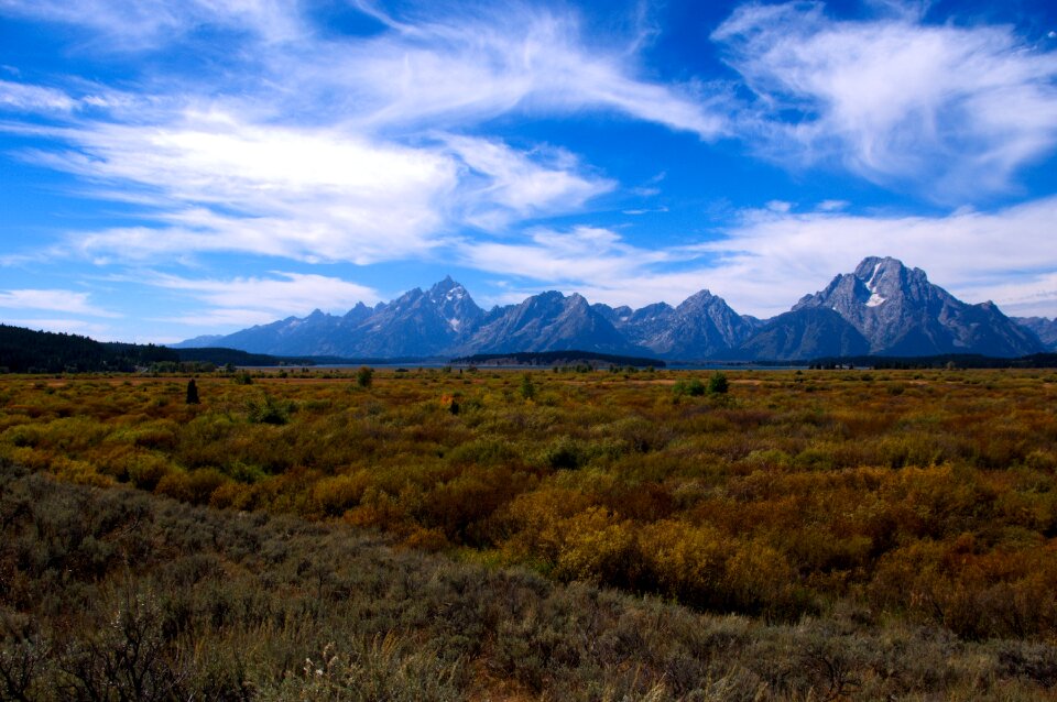 Autumn grand teton