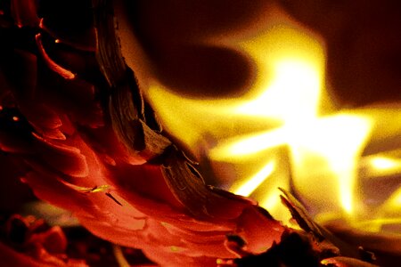 Heat hot flame