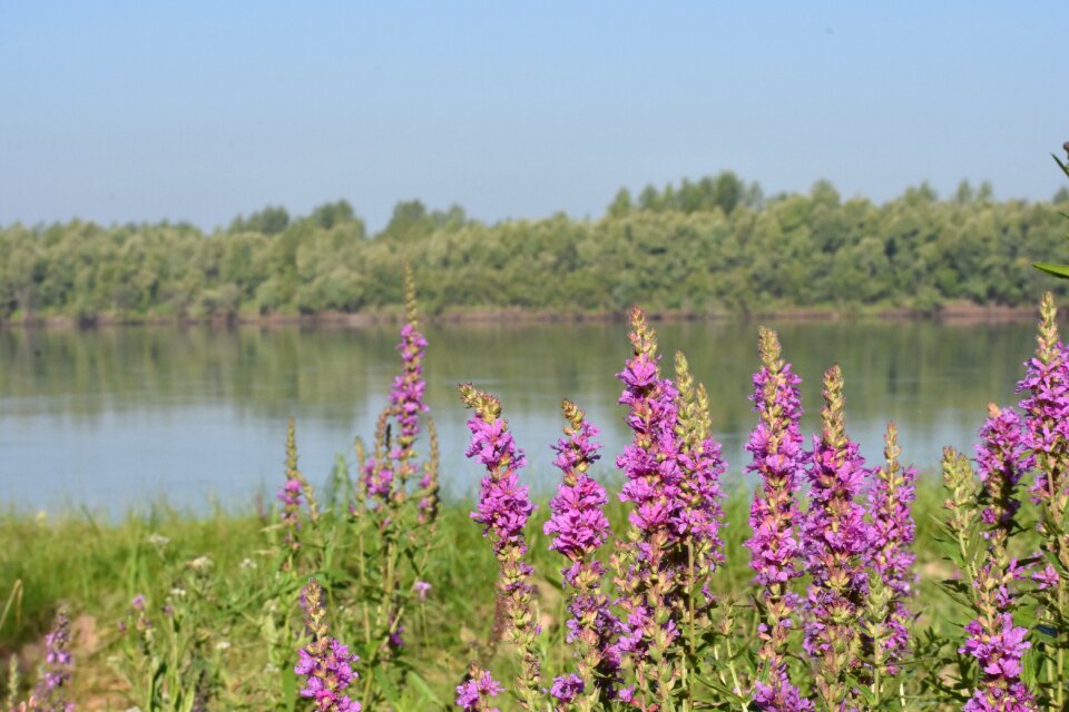 River novosibirsk siberia
