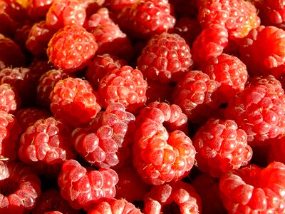 Vitamins red ripe