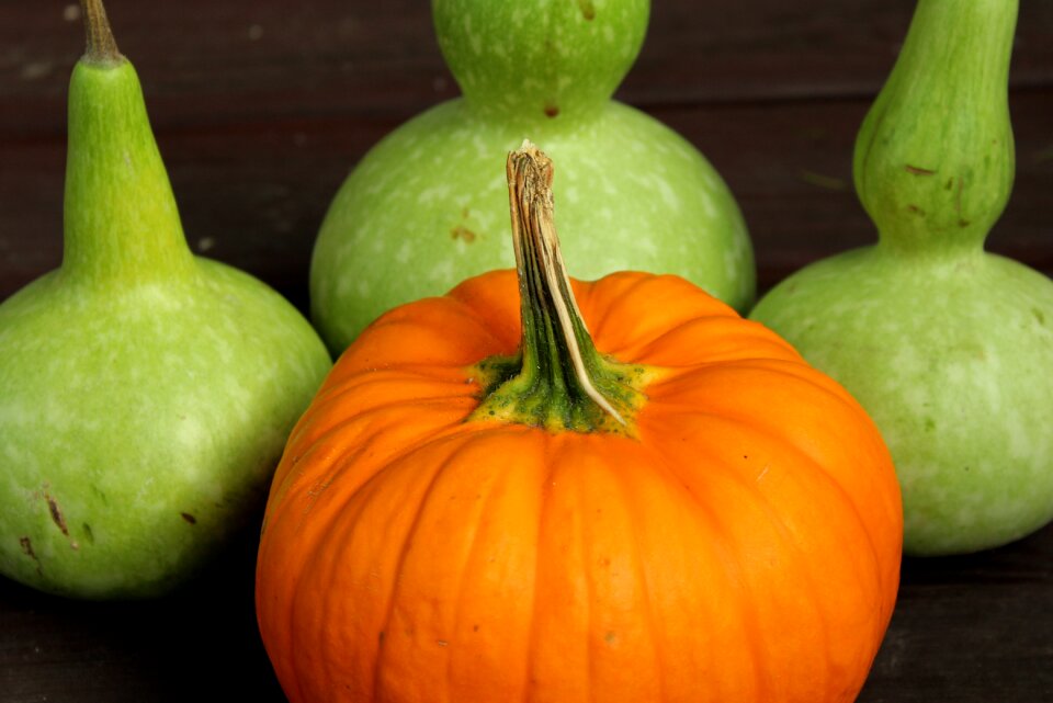 Autumn vegetables orange