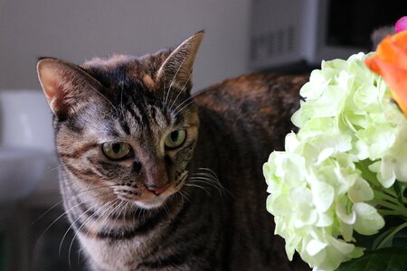 Cute creatures flowers