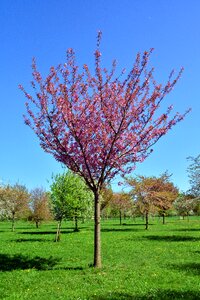 Landscape season grass photo