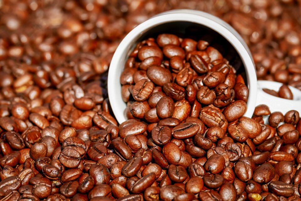 Coffee benefit from beans