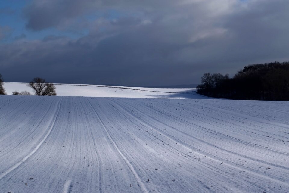 Frost wintry ice photo