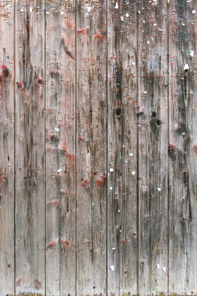 Old weathered branches