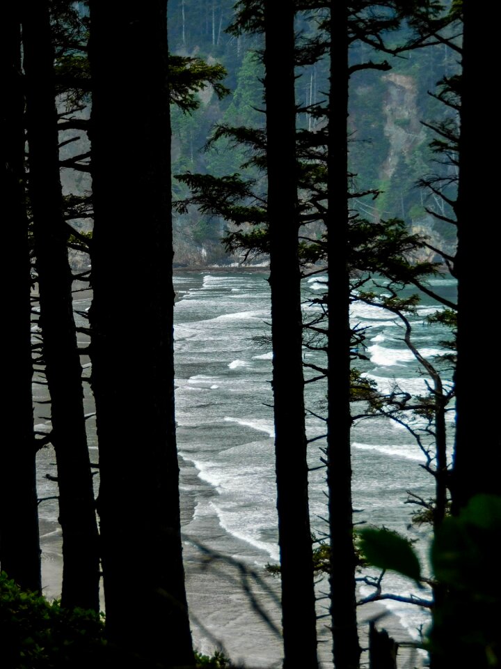 Beaches oregonbeaches capefalcon