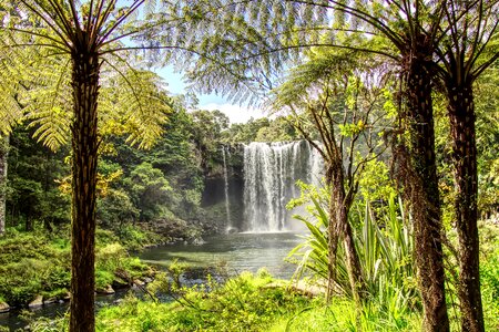 Plant landscape cascade
