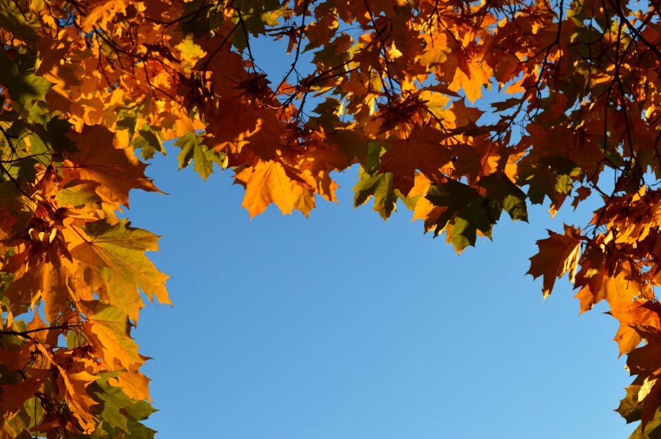 Nature colorful warm