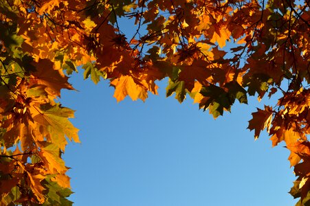 Nature colorful warm