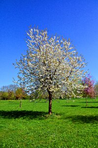 Landscape season grass photo