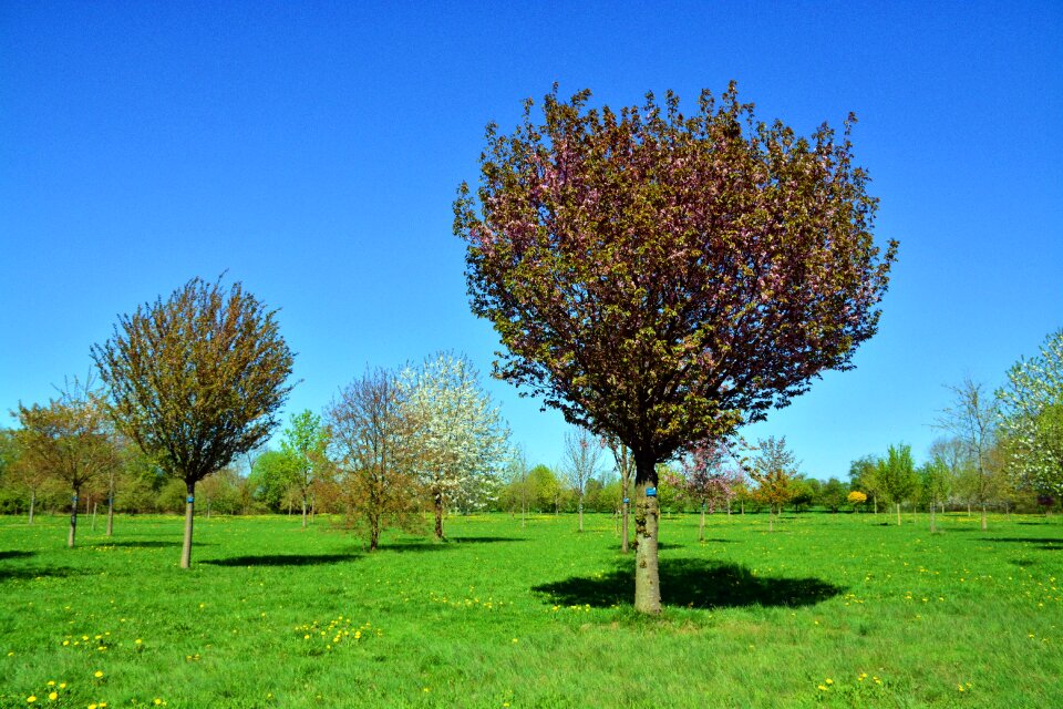 Landscape season grass