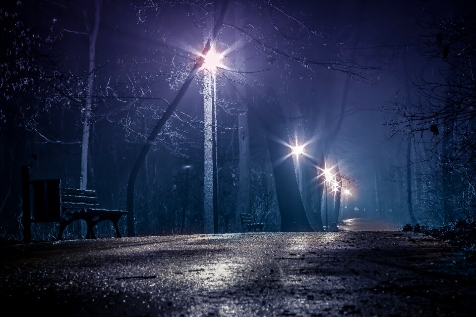 Lanterns the path way