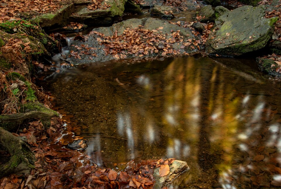 Water nature reflection