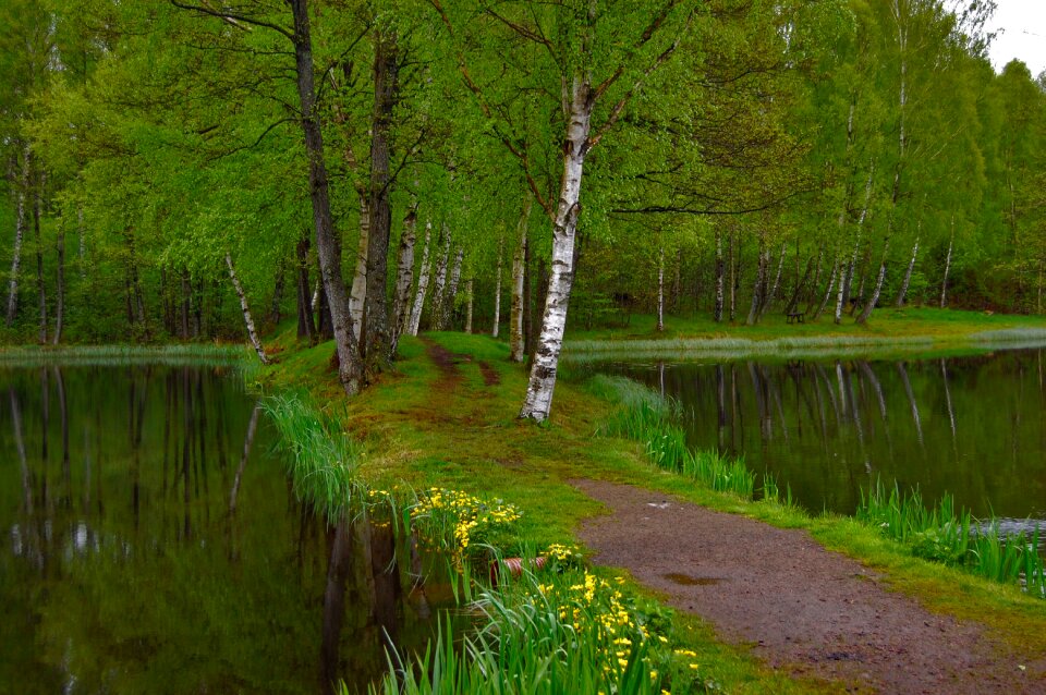 Sweden nature landscapes