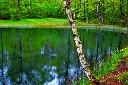Sweden nature landscapes photo