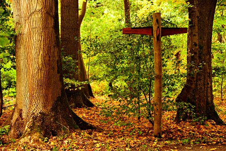 Autumn signpost cross