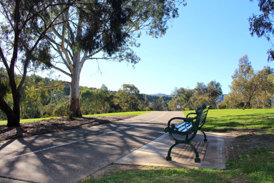 Ornate shady place sunny day