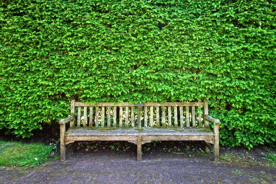 Sitting resting furniture