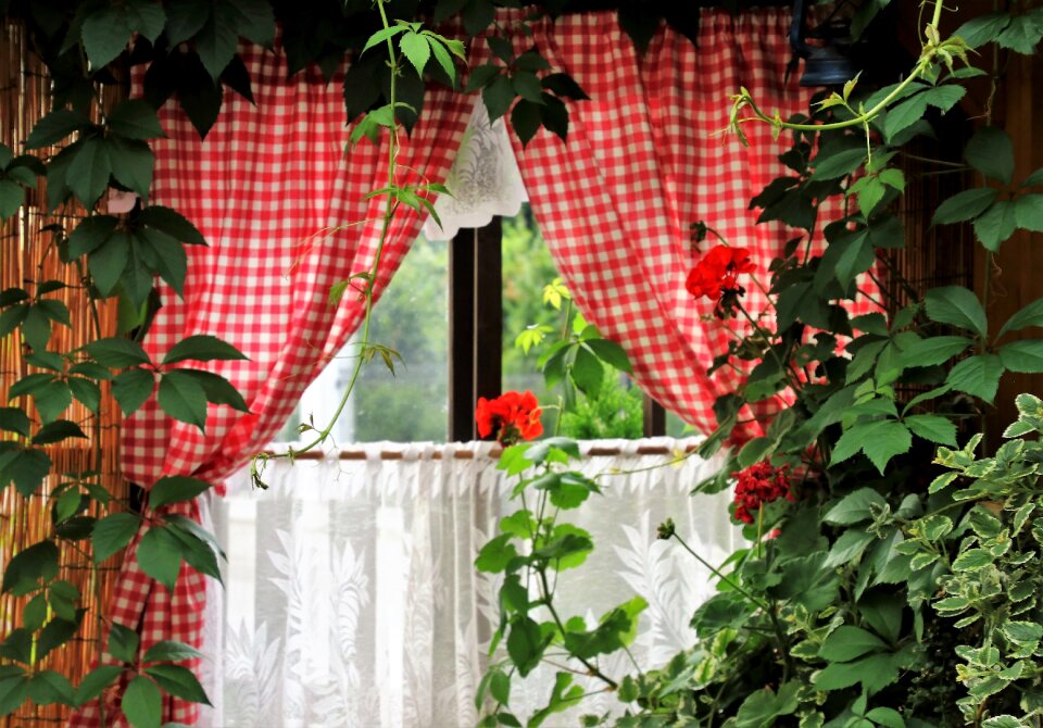 Overgrown wrastający in the house