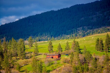 Hillside ranch Free photos