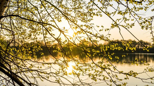 Spring background sun