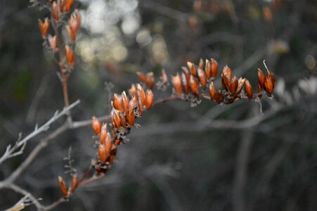 Nature colorful warm