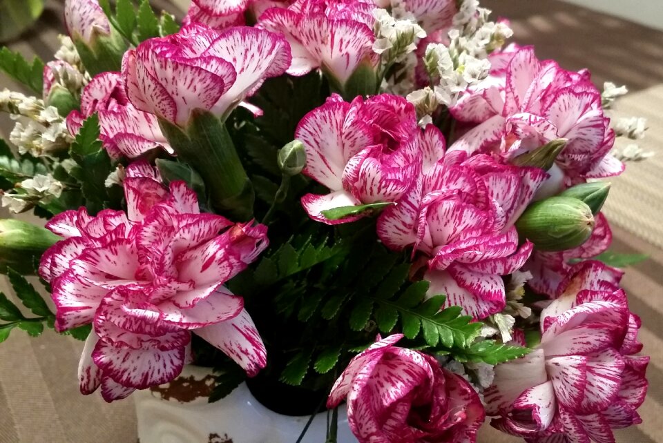 Summer pink purple
