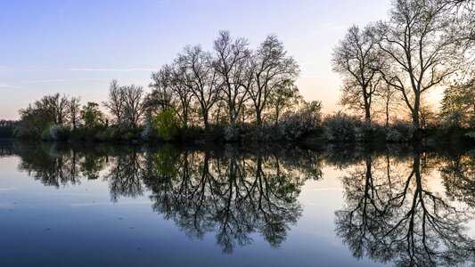 Trees landscape waters photo