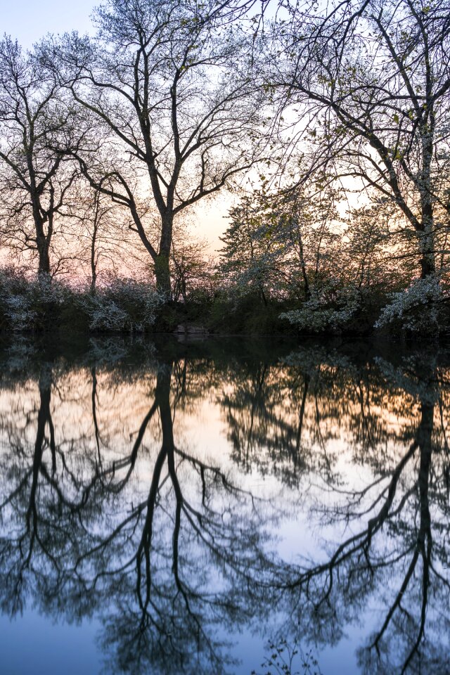 Landscape waters lake