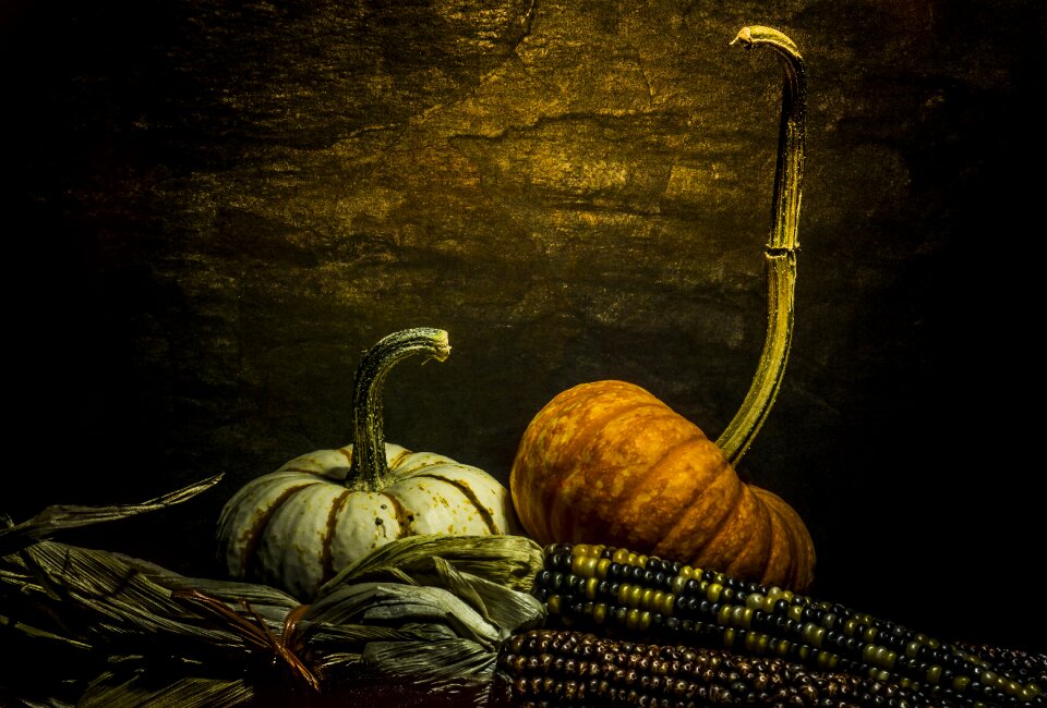 Halloween orange holiday