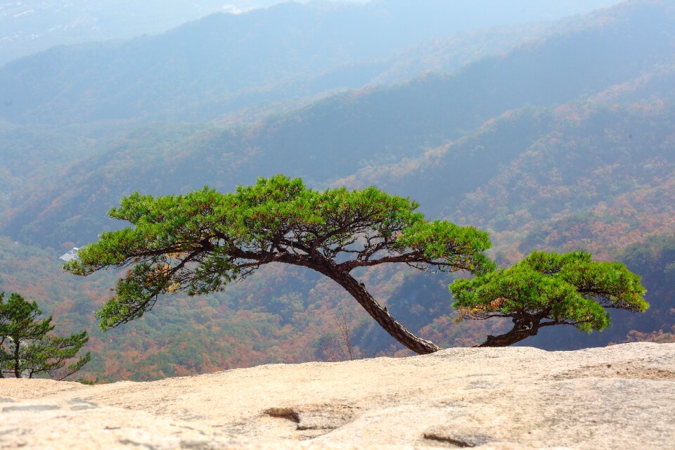 Nature republic of korea rocky mountain