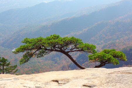 Nature republic of korea rocky mountain photo