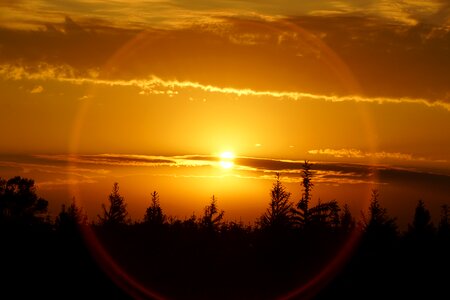 Sunny natural sol