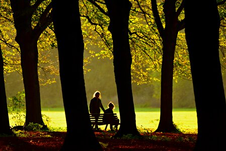 Field people bench