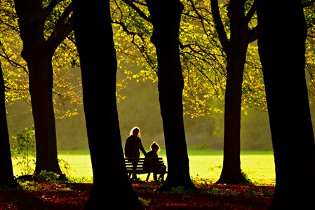 Field people bench photo