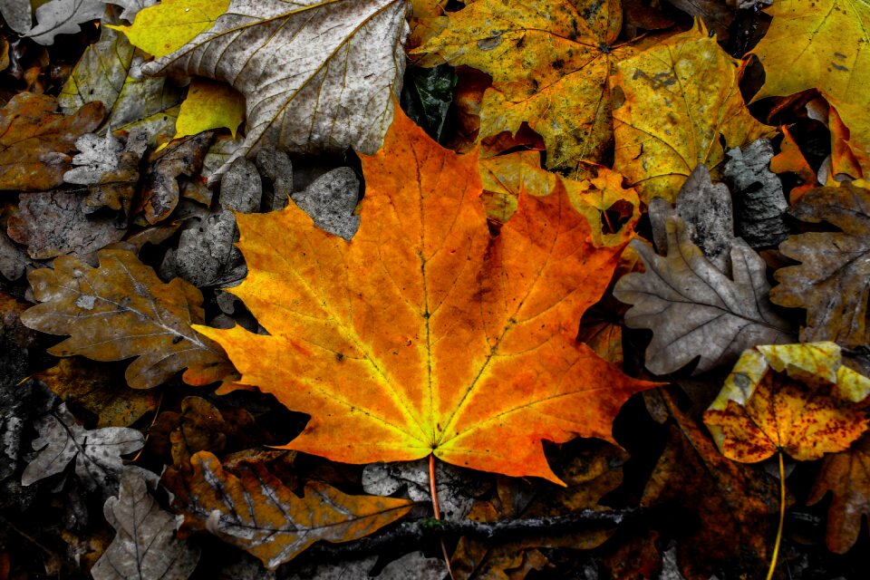 Color colorful contrast