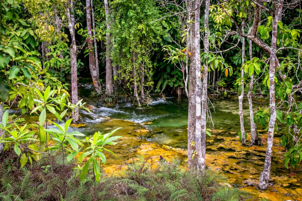 Nature water idyllic