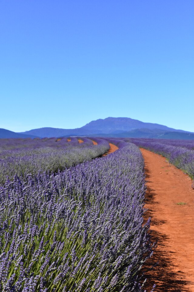 Blue sky countryside landscape