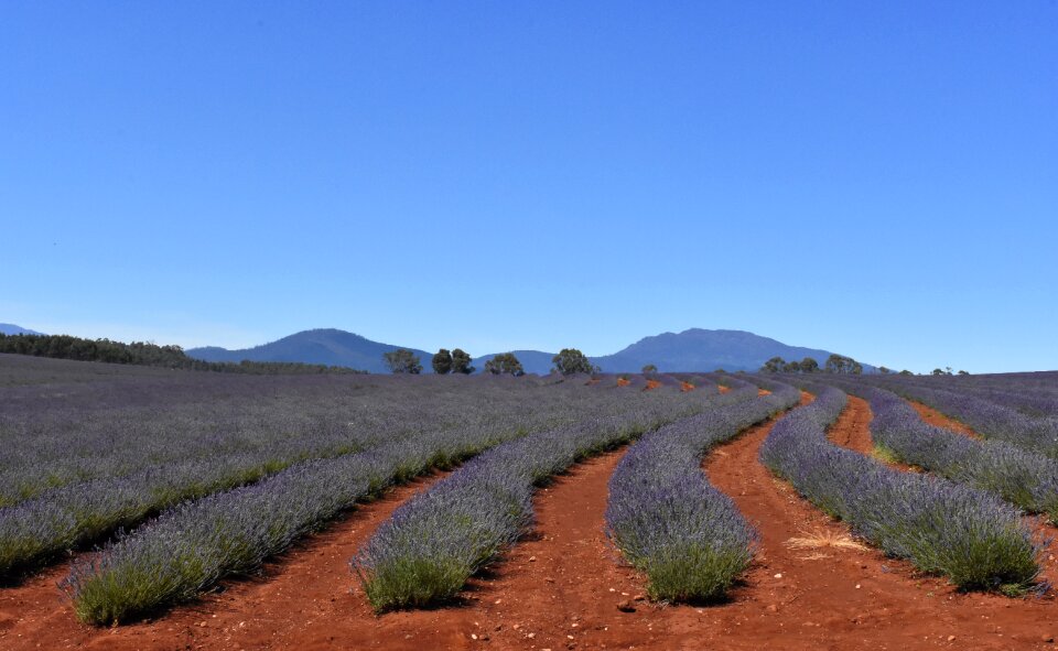 Blue sky countryside landscape