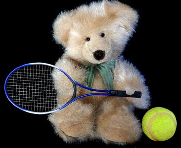Bear tennis sport