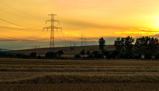 Sunset nature agriculture
