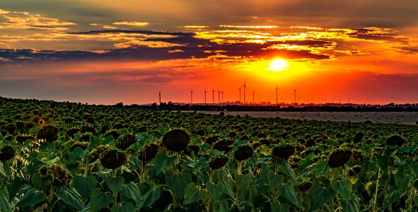 Landscape sunset sky