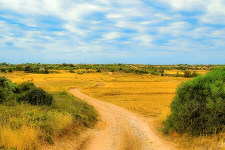 Panoramic plateau dirt road