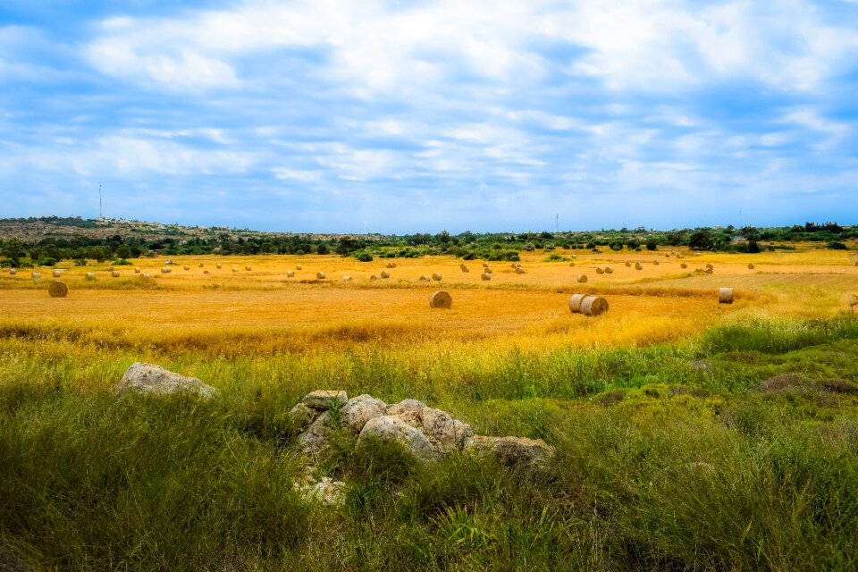 Panoramic plateau hayfield